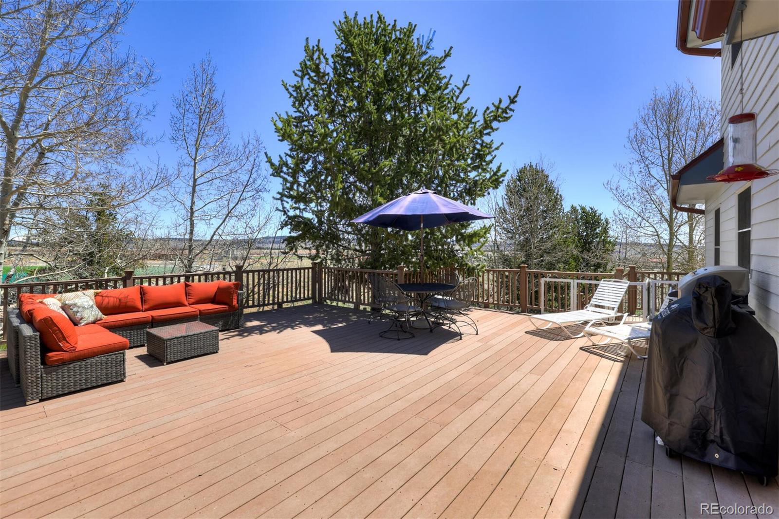 MLS Image #13 for 480  witcher lane,fairplay, Colorado