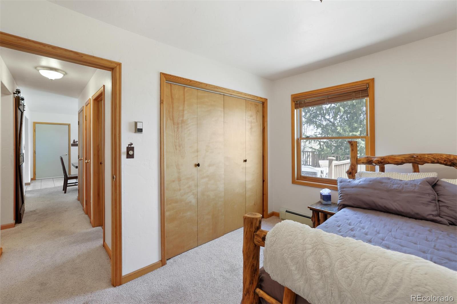 MLS Image #21 for 480  witcher lane,fairplay, Colorado