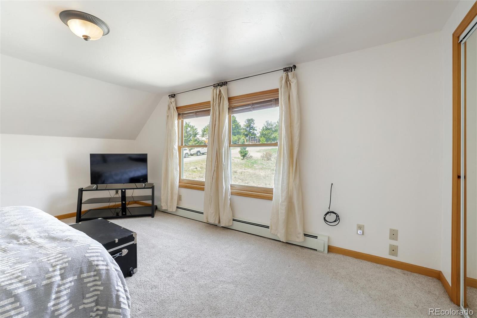 MLS Image #29 for 480  witcher lane,fairplay, Colorado