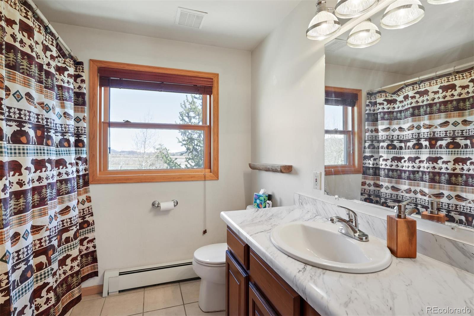 MLS Image #30 for 480  witcher lane,fairplay, Colorado