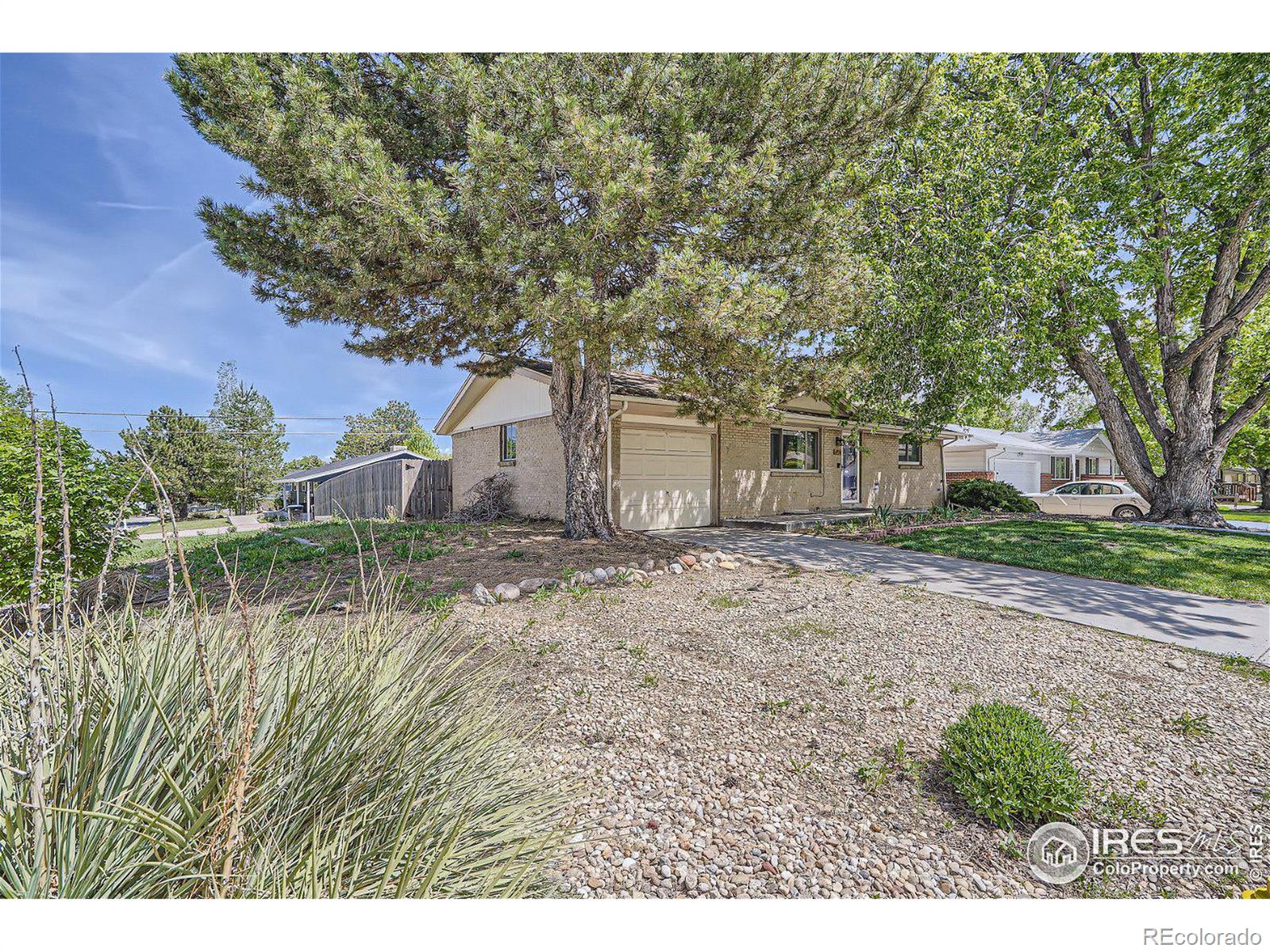 MLS Image #24 for 6976  jay street,arvada, Colorado