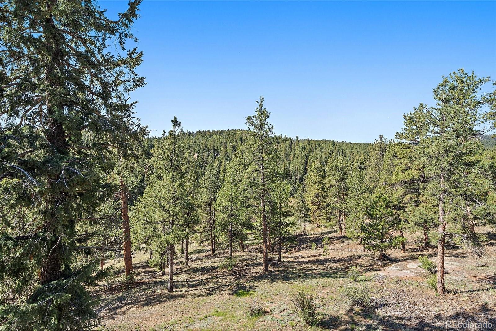 MLS Image #38 for 44  woodside circle,pine, Colorado