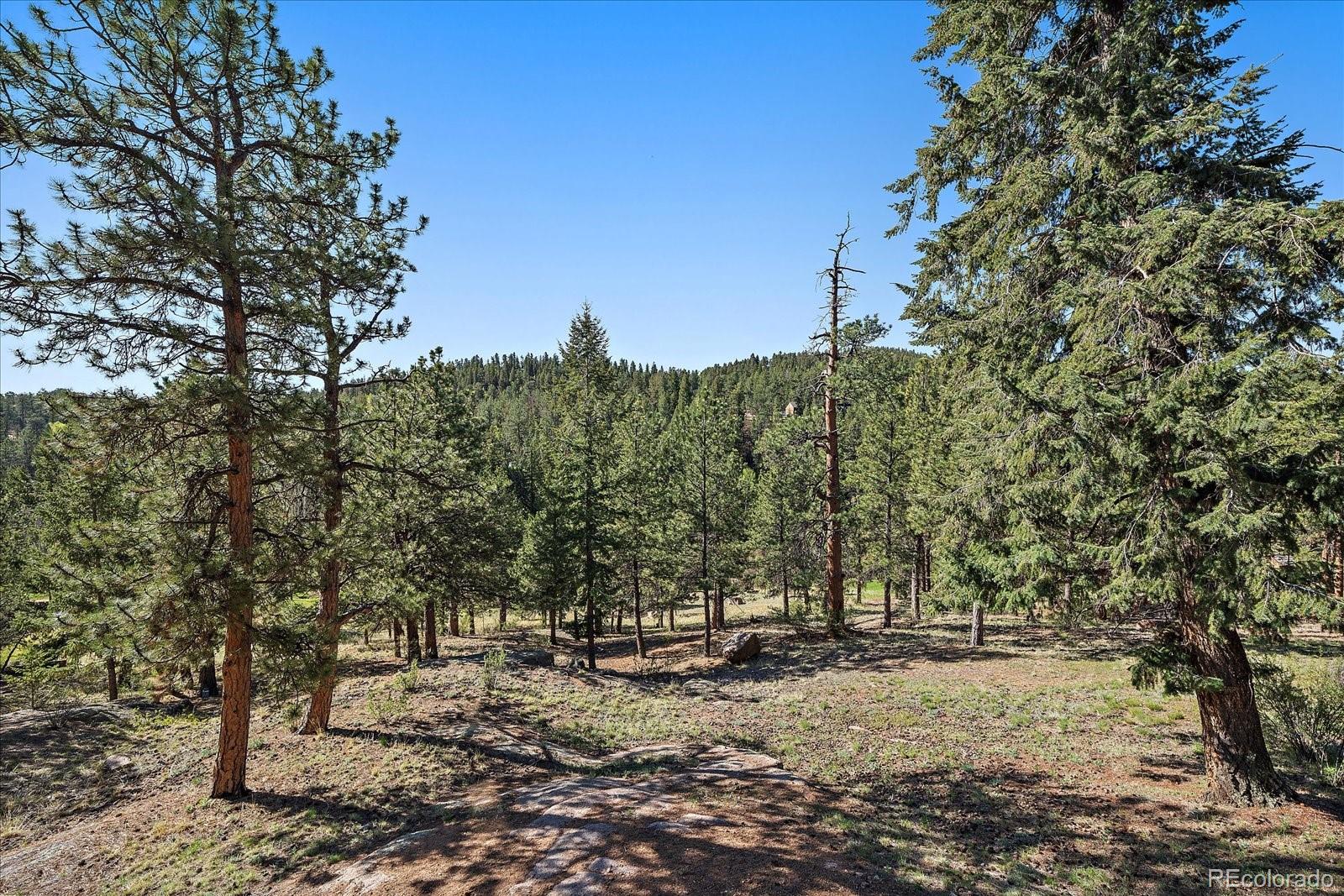 MLS Image #40 for 44  woodside circle,pine, Colorado