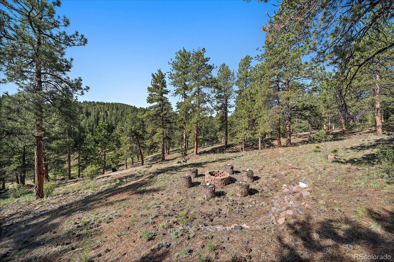 MLS Image #41 for 44  woodside circle,pine, Colorado