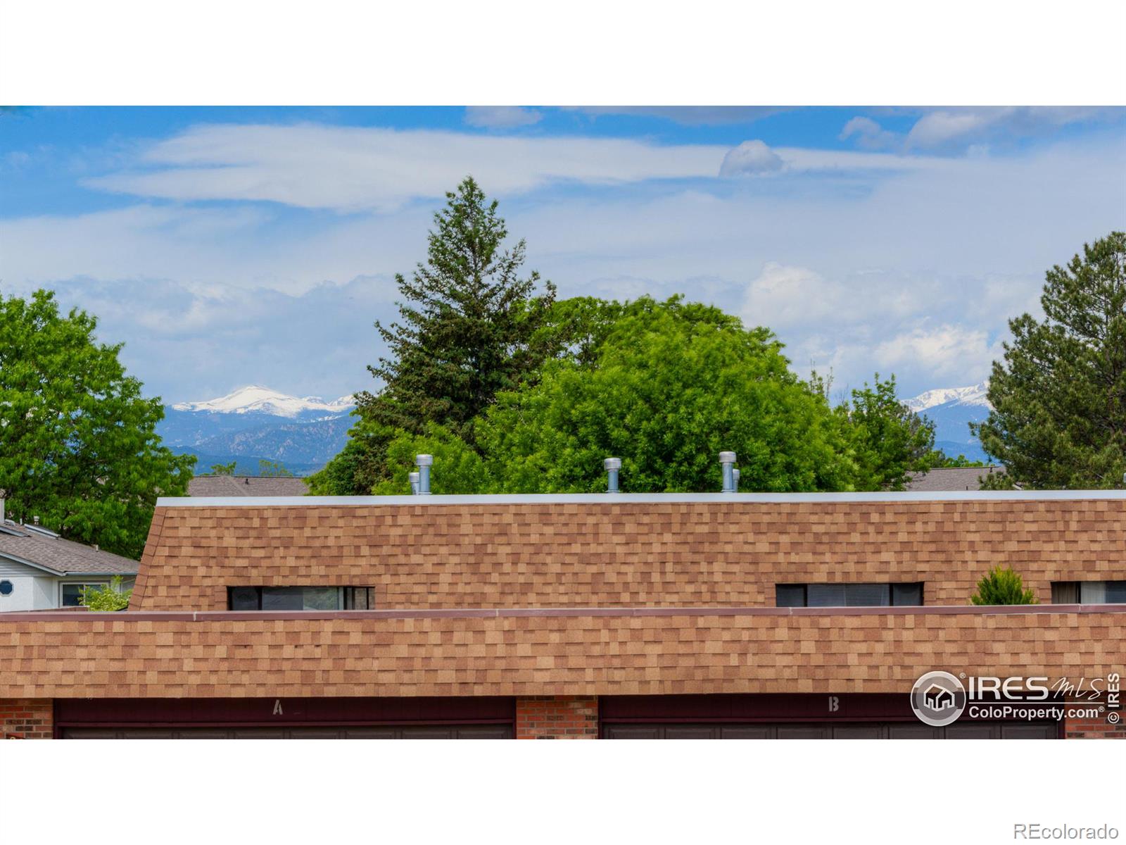 MLS Image #17 for 2241  dexter drive,longmont, Colorado