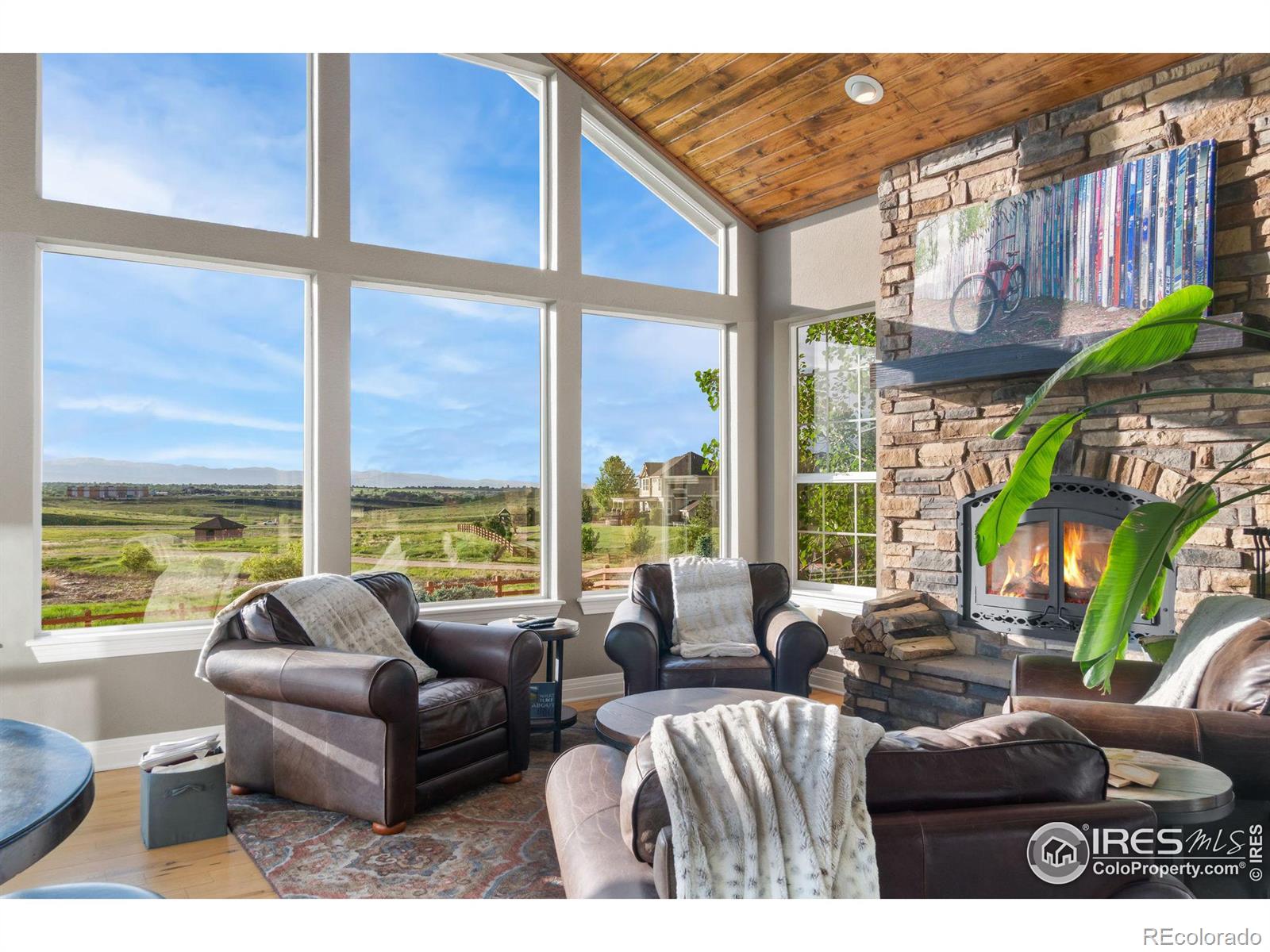 MLS Image #18 for 5409  silver feather circle,broomfield, Colorado