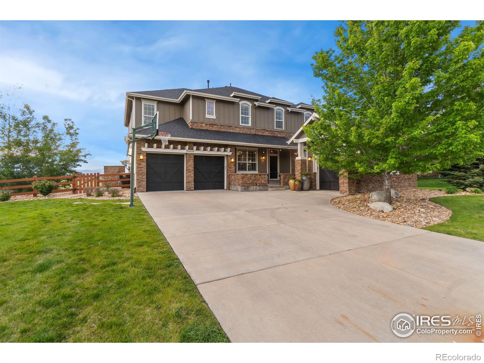 MLS Image #6 for 5409  silver feather circle,broomfield, Colorado