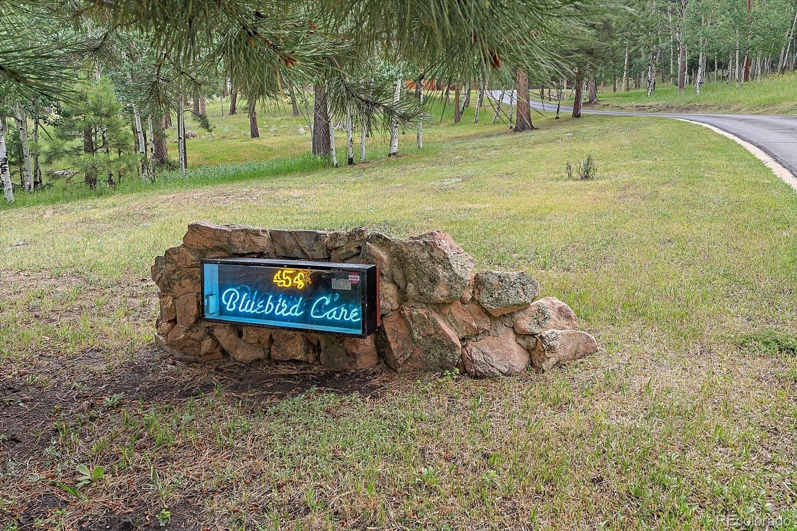 MLS Image #2 for 454  bluebird lane,bailey, Colorado