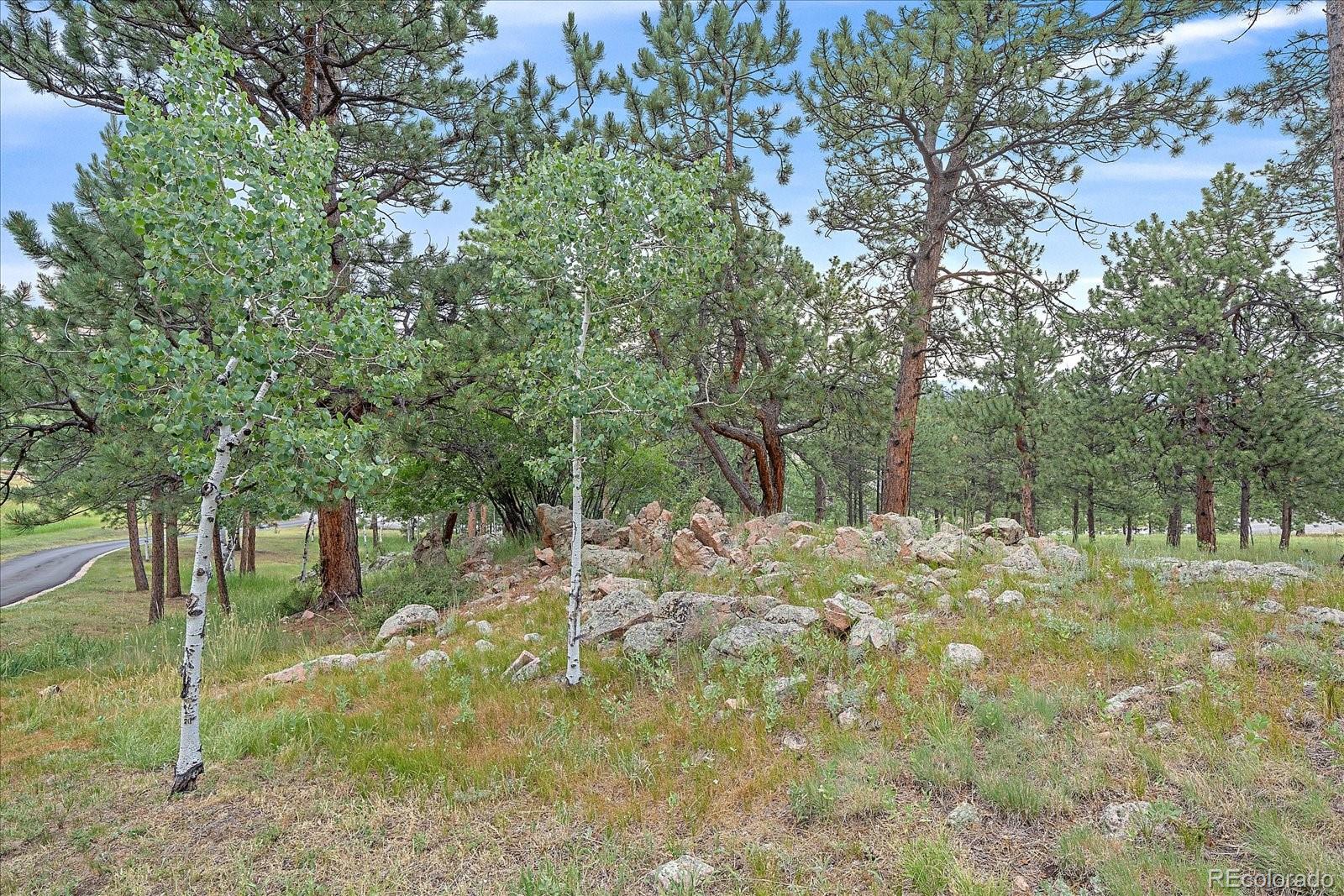 MLS Image #44 for 454  bluebird lane,bailey, Colorado