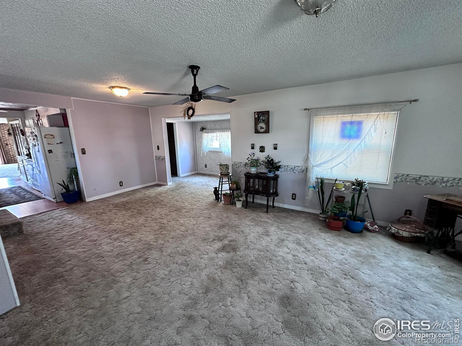 MLS Image #4 for 315  kansas avenue,stratton, Colorado