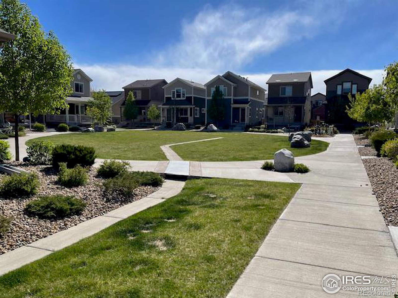 MLS Image #10 for 1169  hummingbird circle,longmont, Colorado