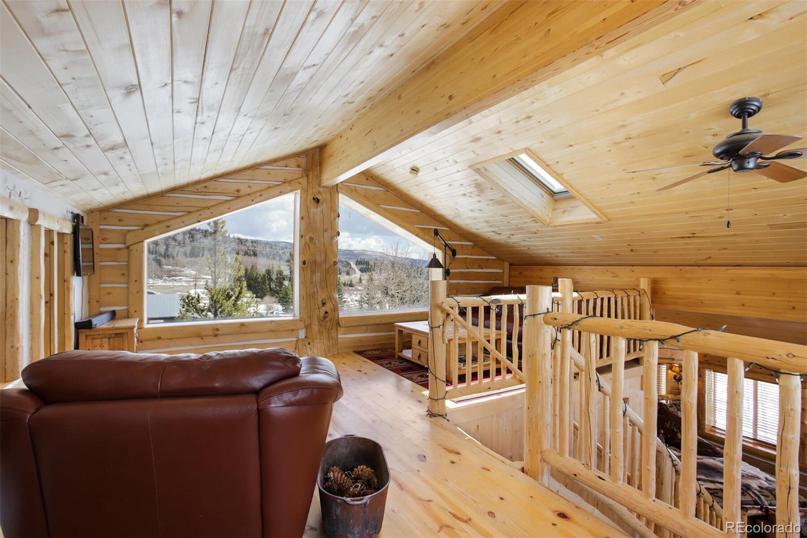 MLS Image #22 for 2584  county road 12 ,alma, Colorado