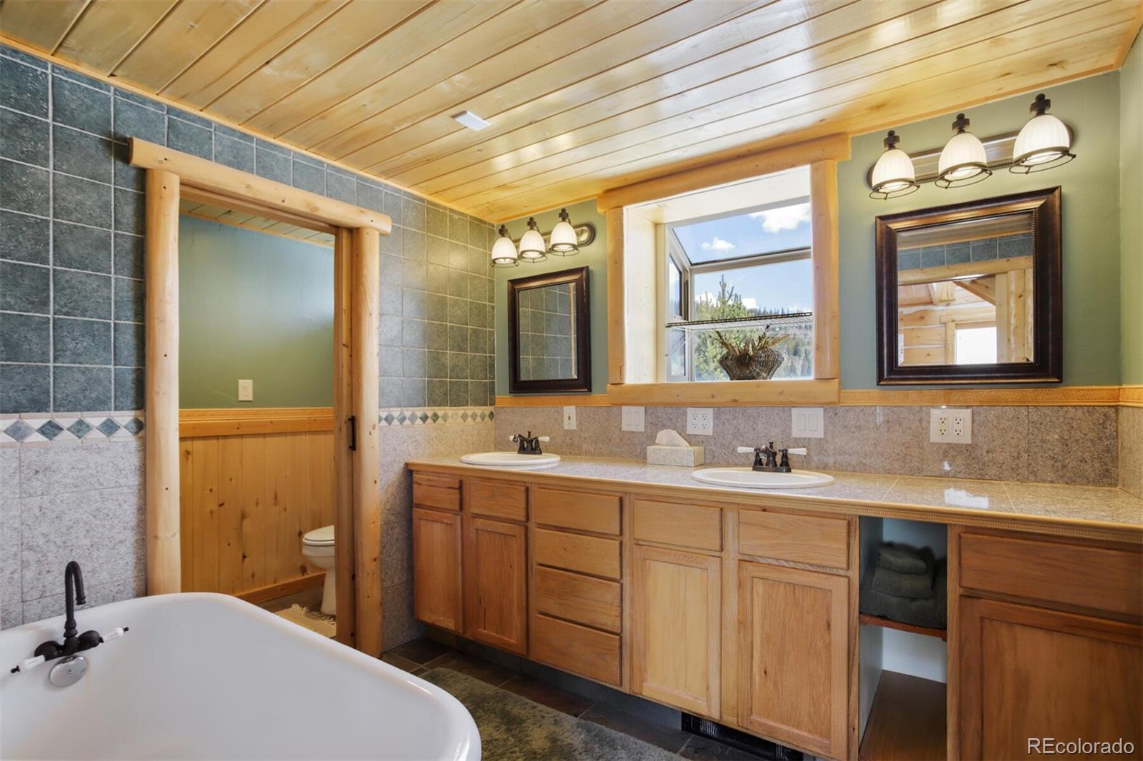 MLS Image #23 for 2584  county road 12 ,alma, Colorado