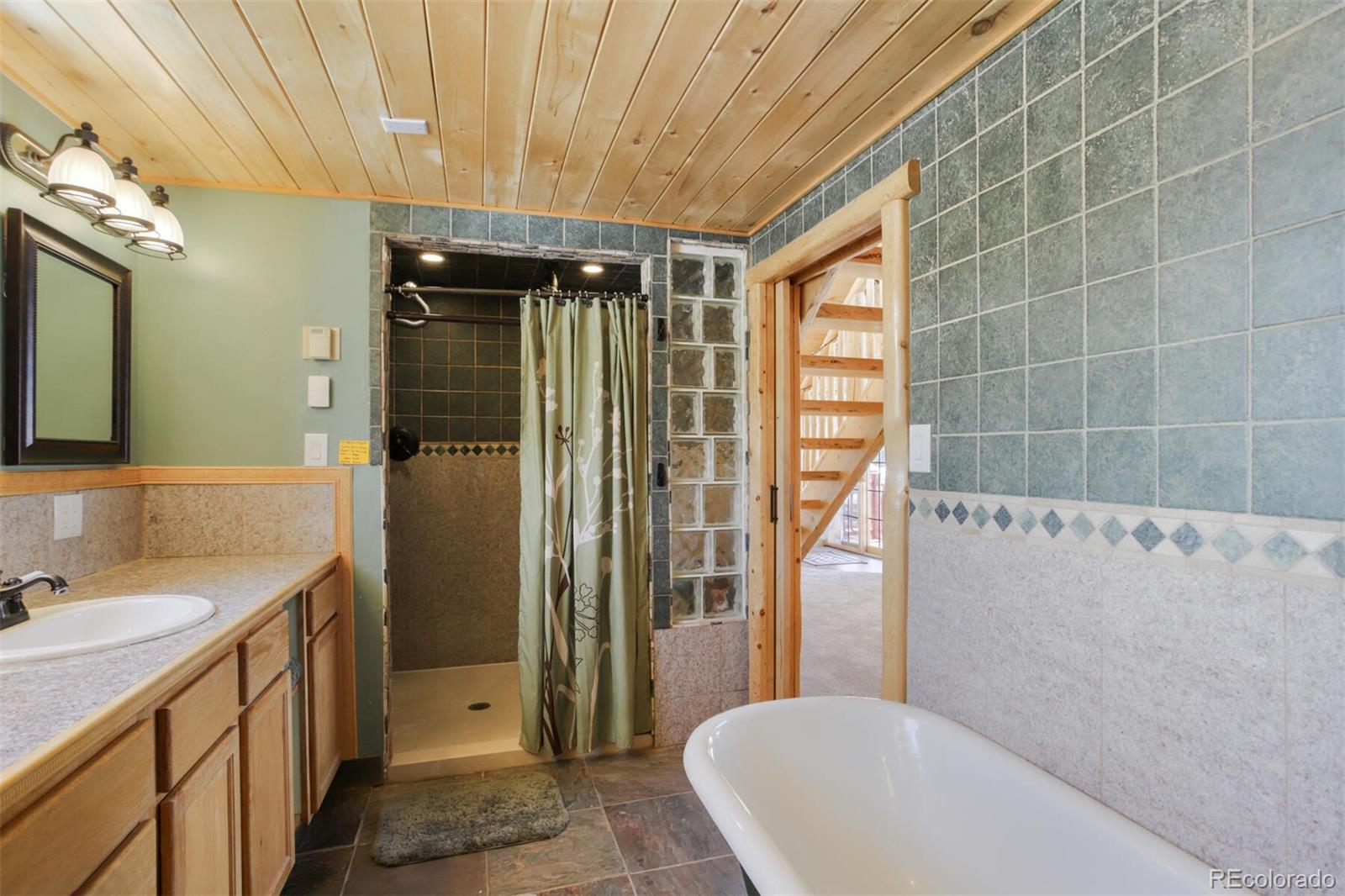 MLS Image #24 for 2584  county road 12 ,alma, Colorado