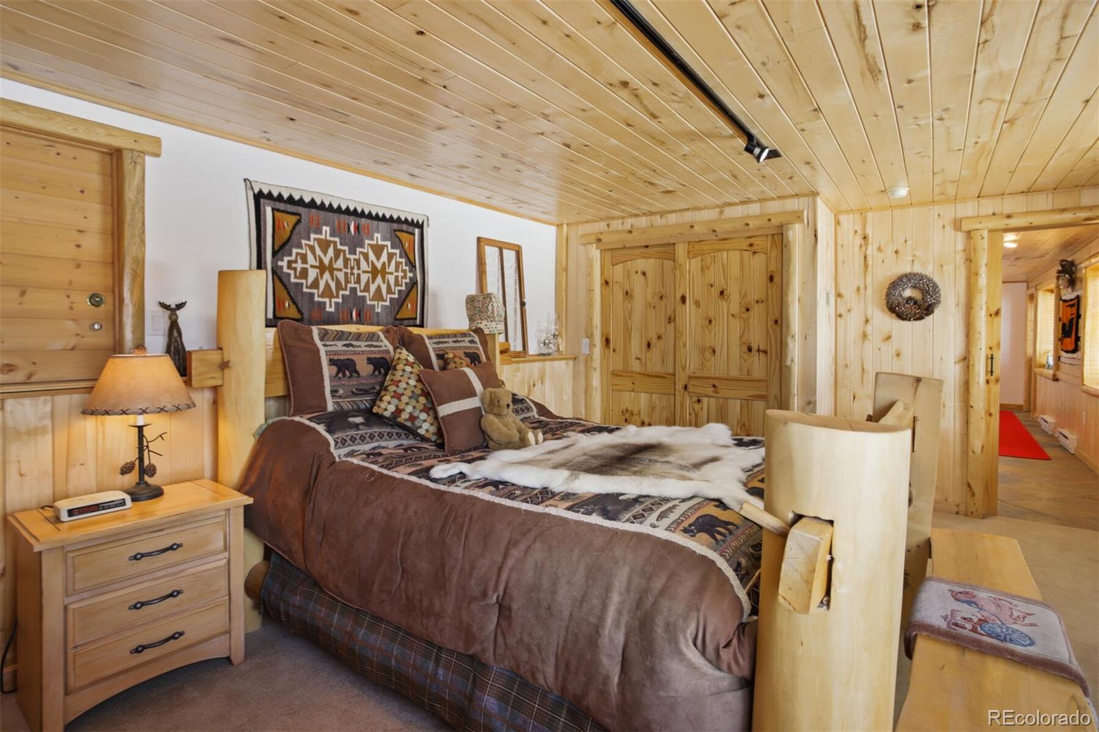 MLS Image #25 for 2584  county road 12 ,alma, Colorado