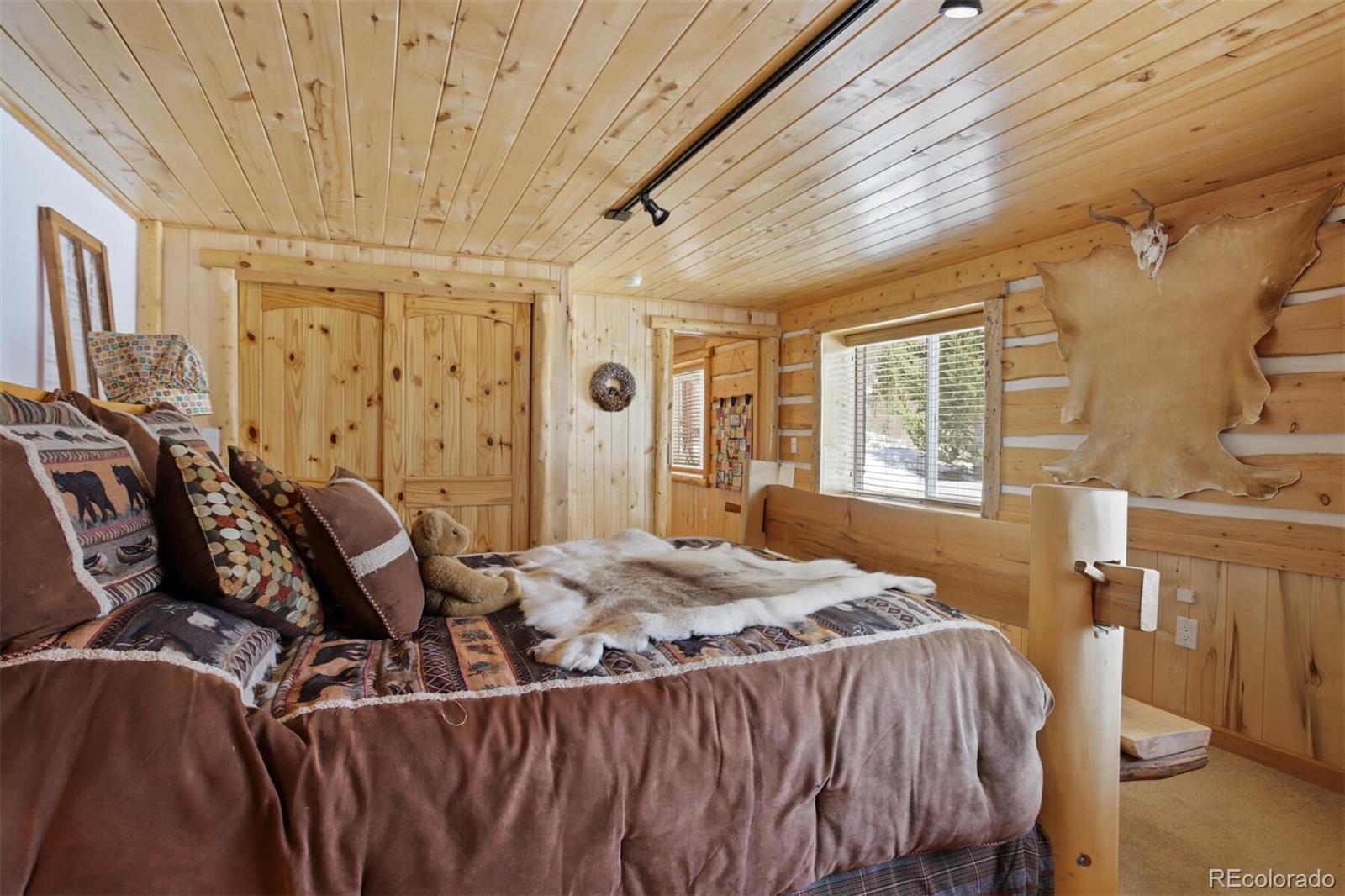 MLS Image #27 for 2584  county road 12 ,alma, Colorado