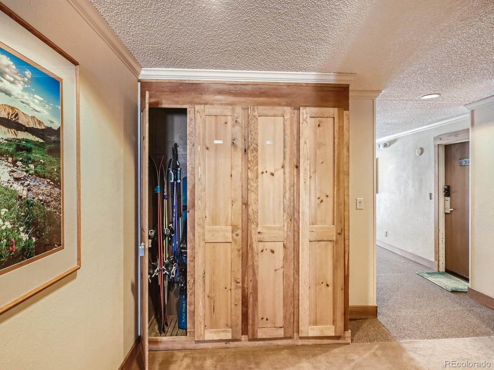 MLS Image #14 for 100  wild irishman road,keystone, Colorado