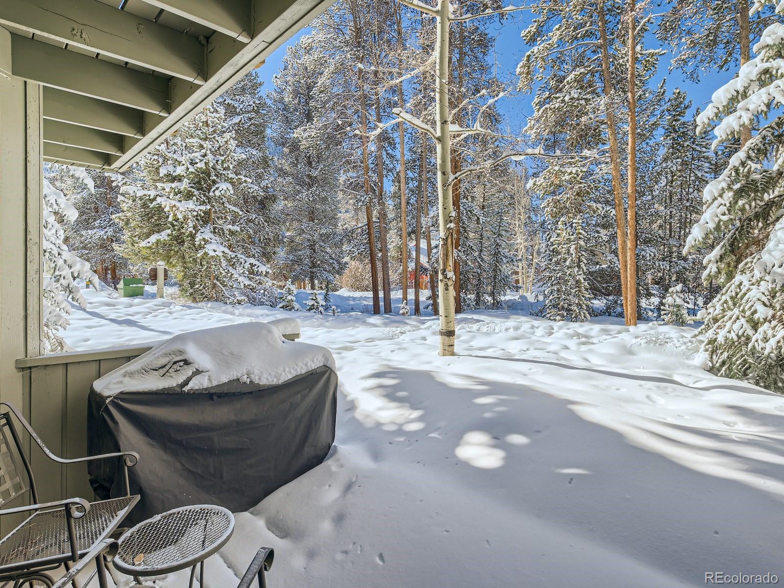 MLS Image #16 for 100  wild irishman road,keystone, Colorado