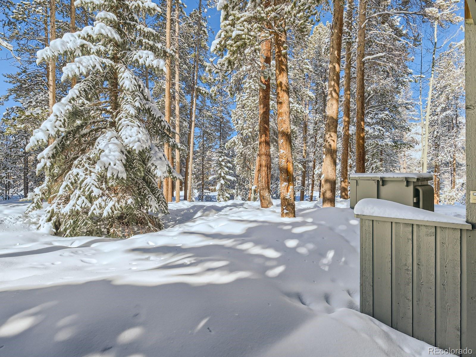 MLS Image #17 for 100  wild irishman road,keystone, Colorado