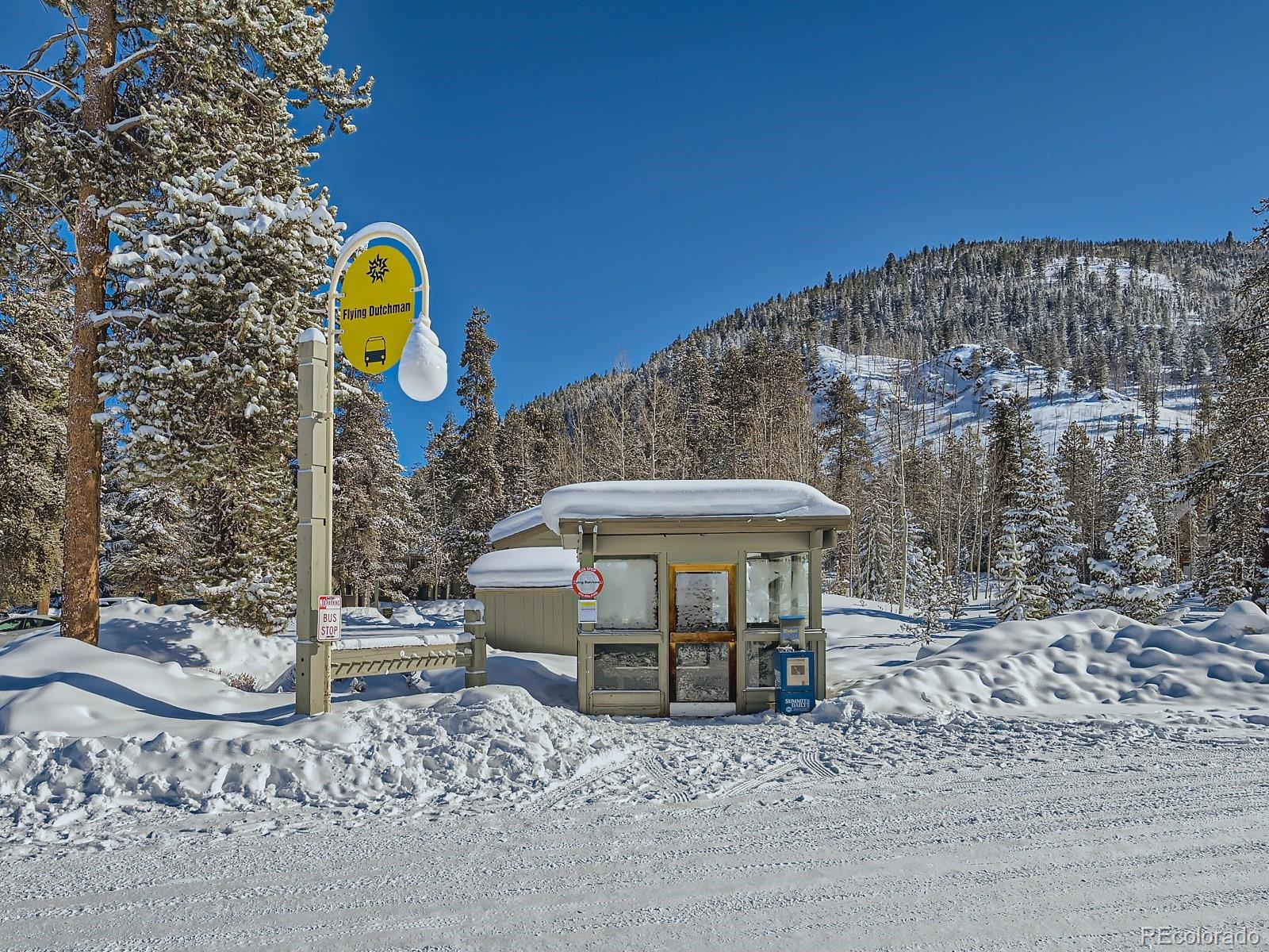 MLS Image #22 for 100  wild irishman road,keystone, Colorado