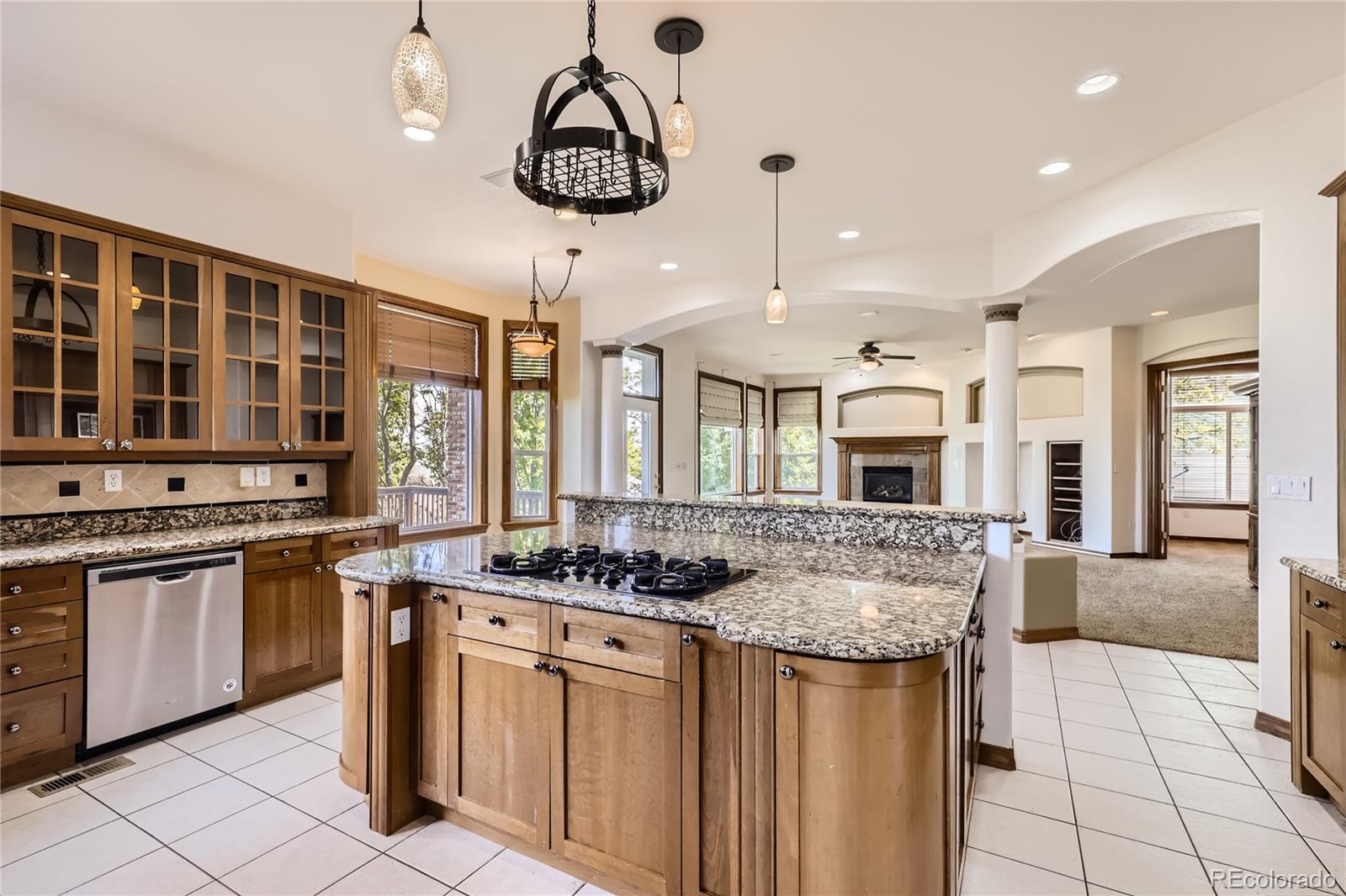 MLS Image #11 for 10431  carriage club drive,lone tree, Colorado