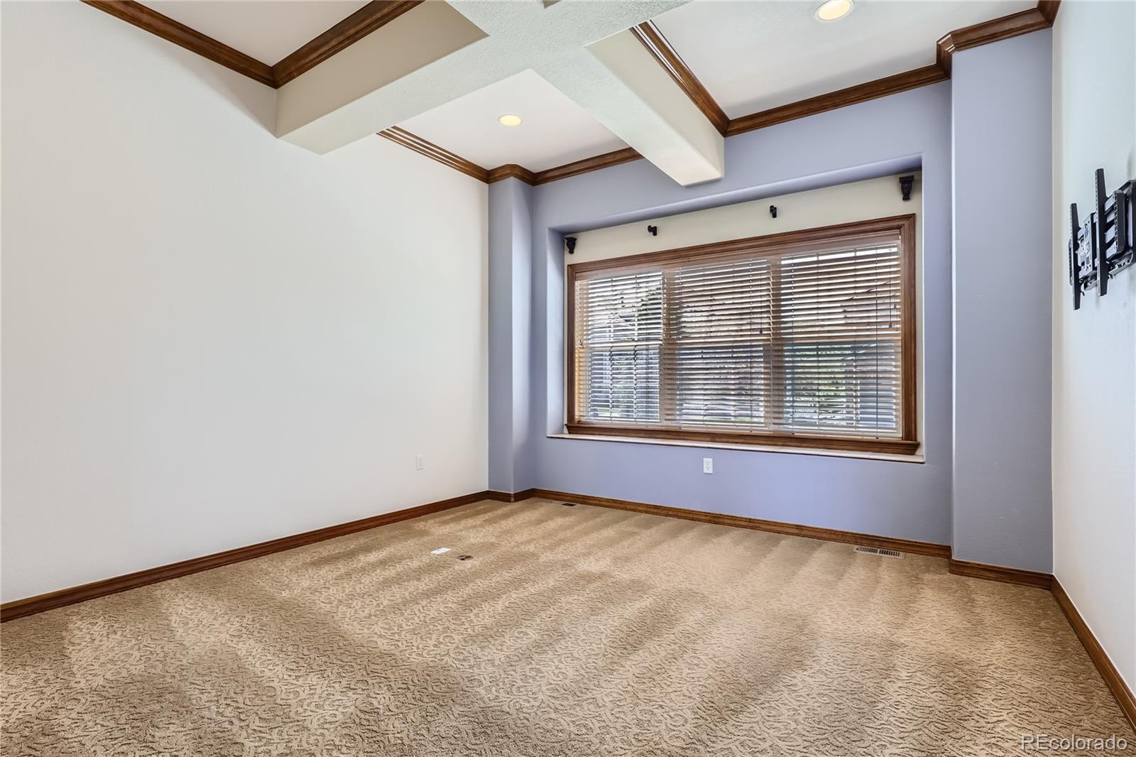 MLS Image #8 for 10431  carriage club drive,lone tree, Colorado