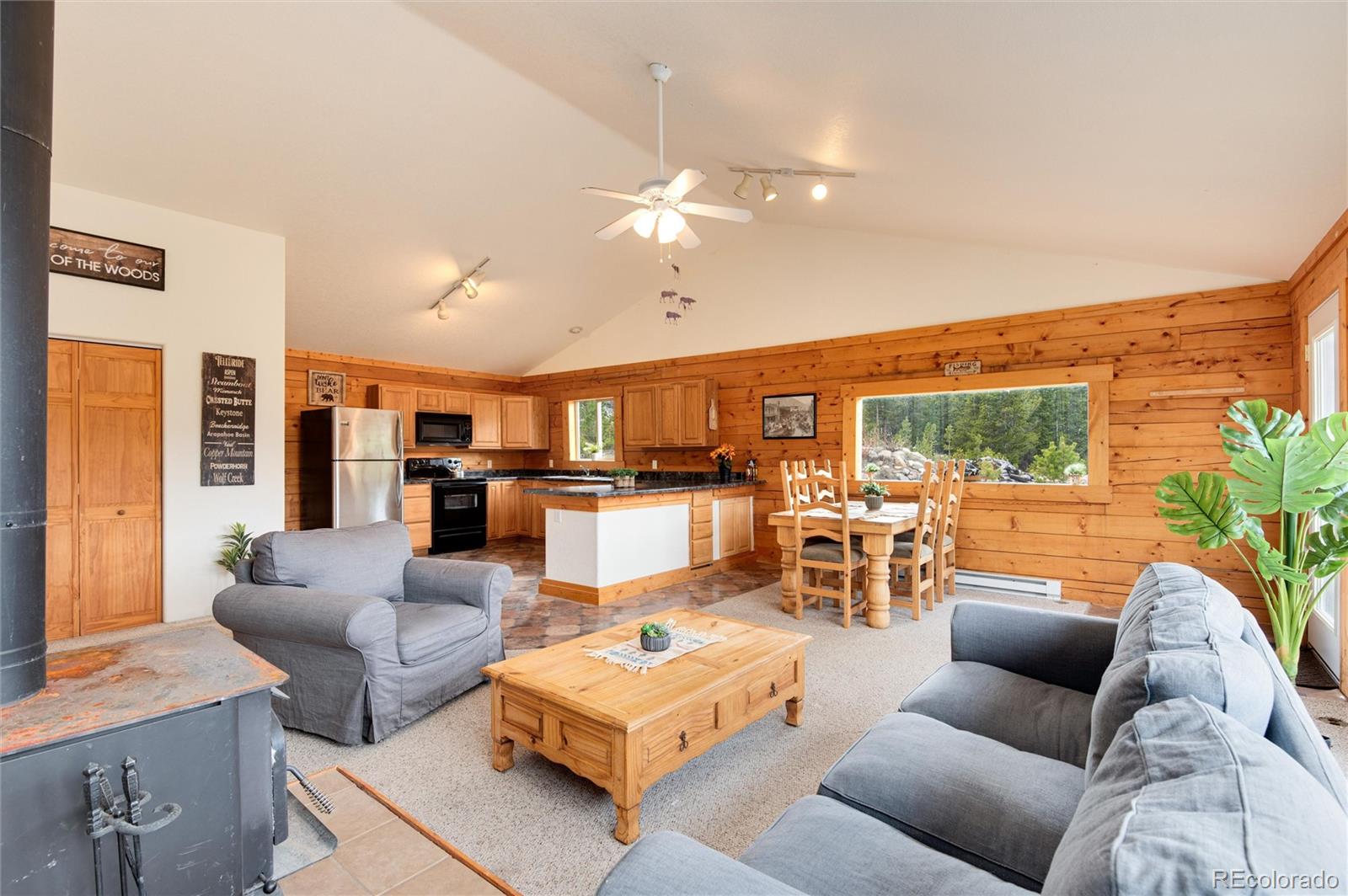 MLS Image #11 for 1324  alice road,idaho springs, Colorado