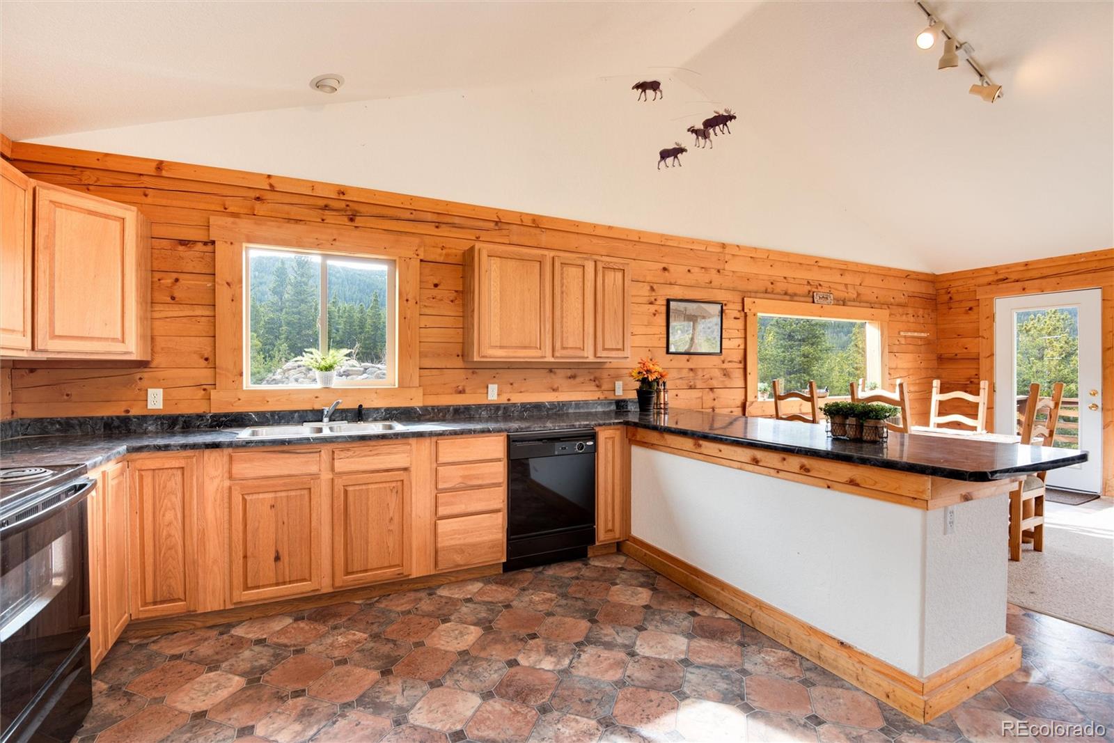 MLS Image #19 for 1324  alice road,idaho springs, Colorado