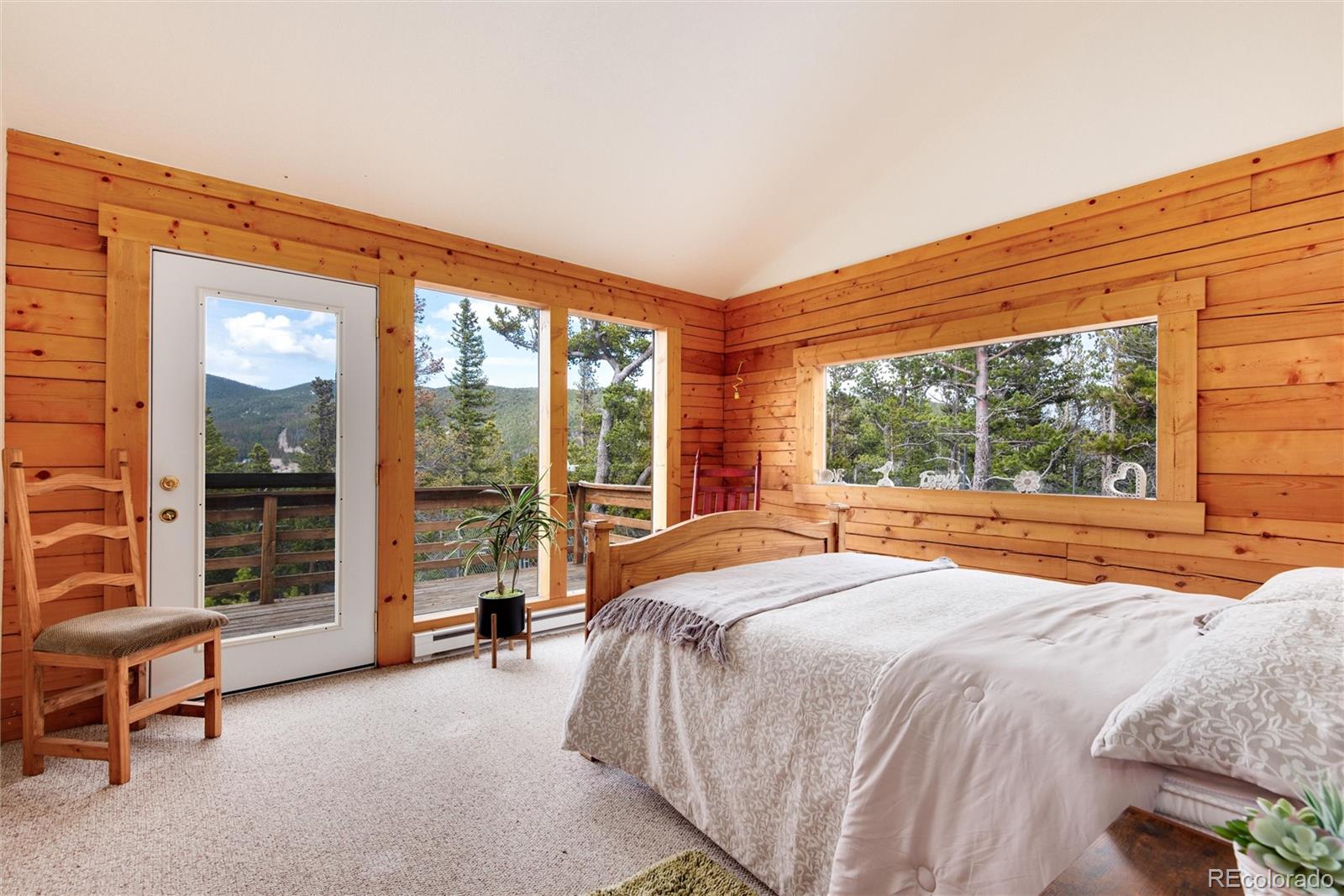 MLS Image #21 for 1324  alice road,idaho springs, Colorado