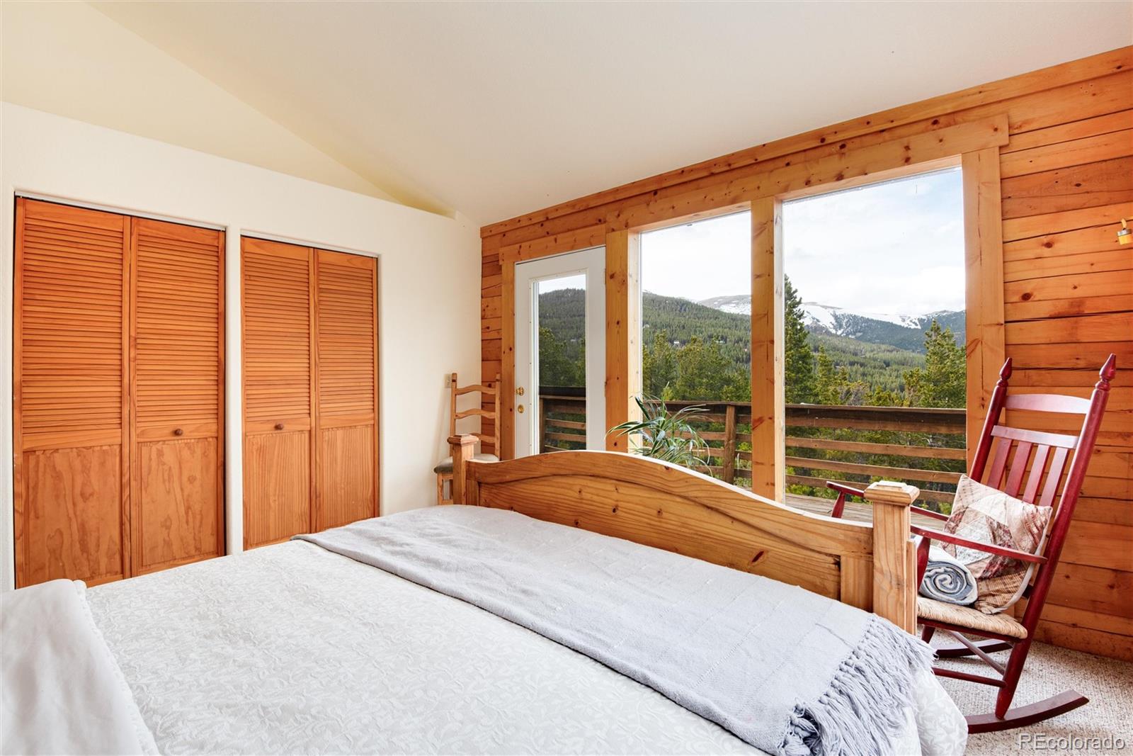 MLS Image #22 for 1324  alice road,idaho springs, Colorado