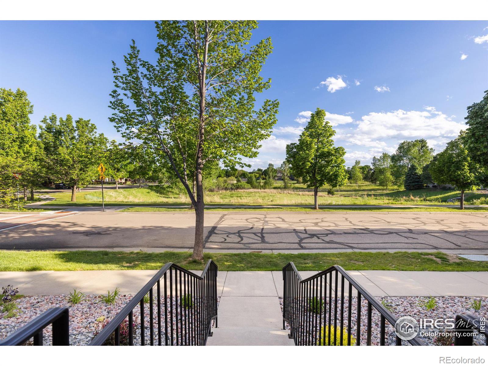 MLS Image #3 for 2832  county fair lane,fort collins, Colorado