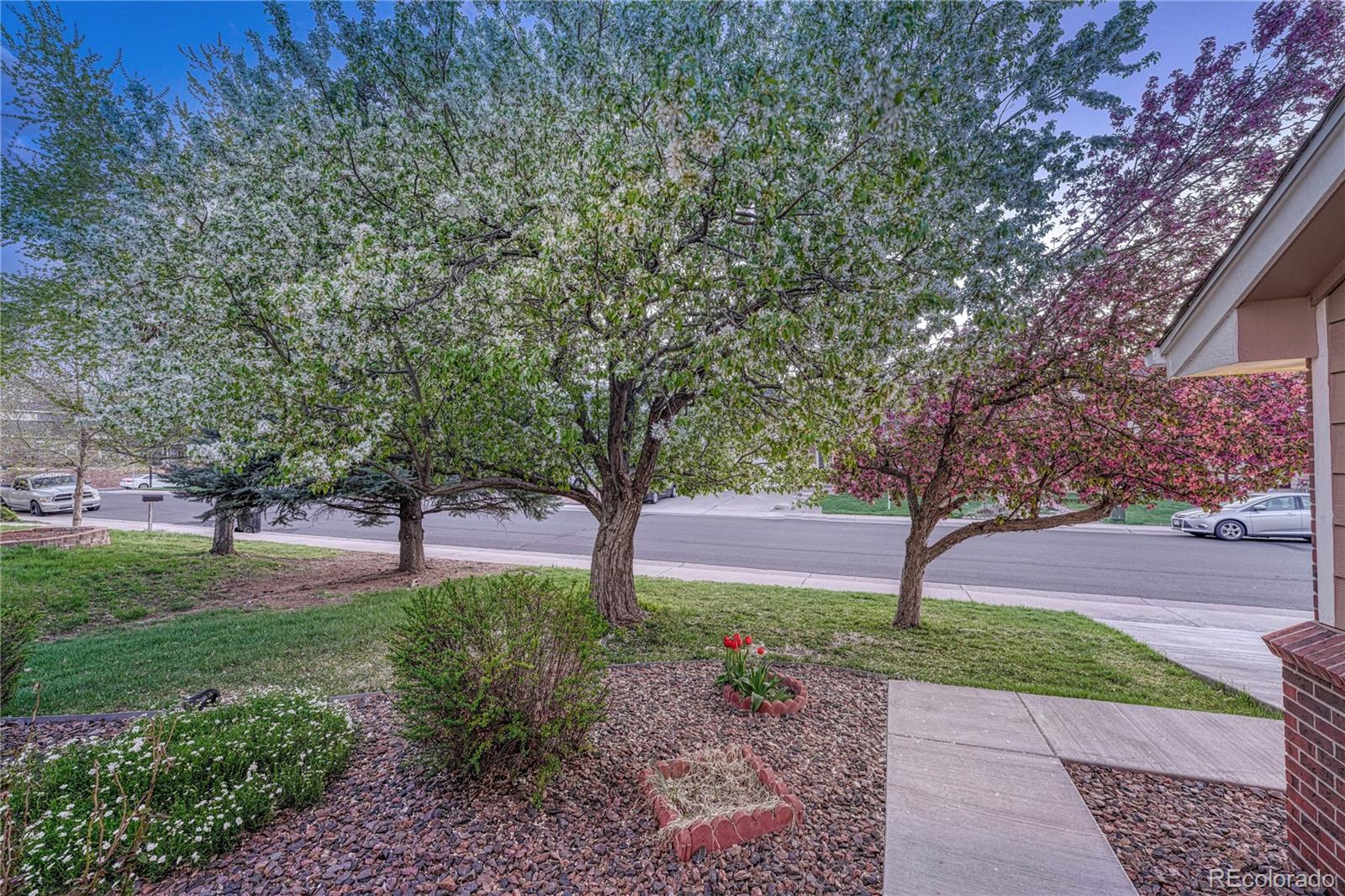 MLS Image #6 for 4926 s crystal street,aurora, Colorado