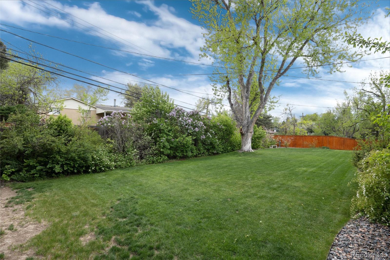 MLS Image #42 for 6860 s steele street,centennial, Colorado