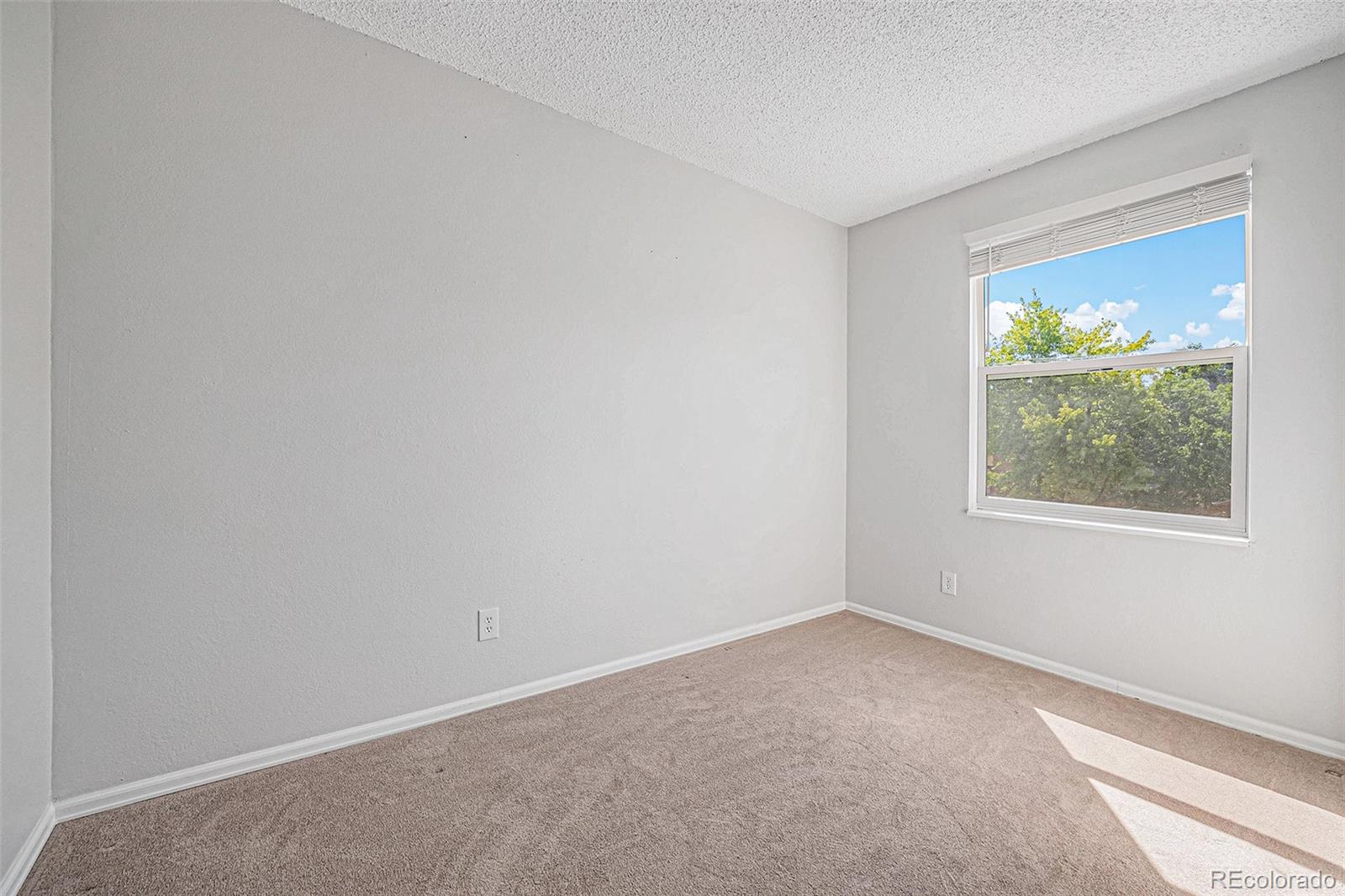 MLS Image #15 for 1605  geneva circle,longmont, Colorado