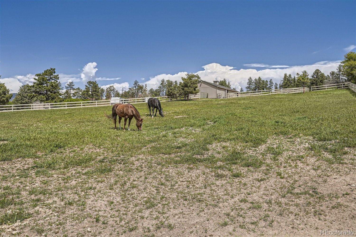 MLS Image #48 for 3943  greenwood road,sedalia, Colorado