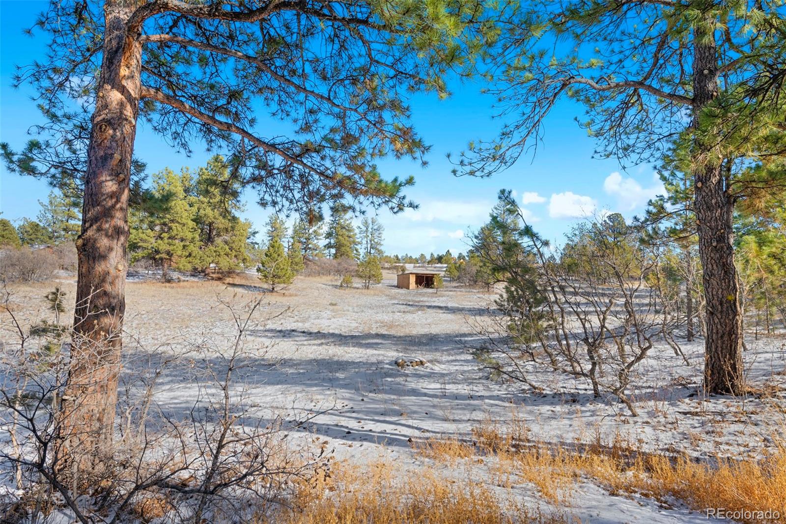 MLS Image #27 for 9062  tanglewood road,franktown, Colorado