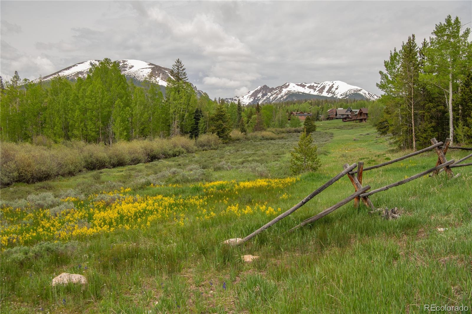 MLS Image #6 for 1318  royal buffalo drive,silverthorne, Colorado