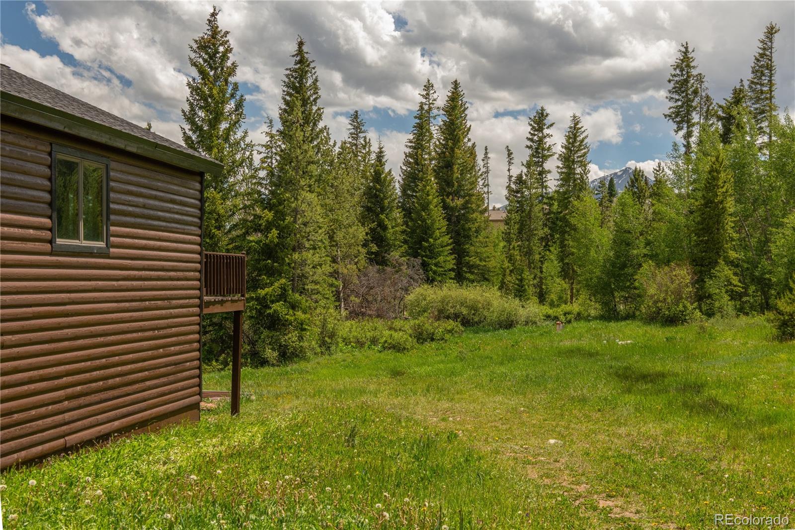 MLS Image #7 for 1318  royal buffalo drive,silverthorne, Colorado