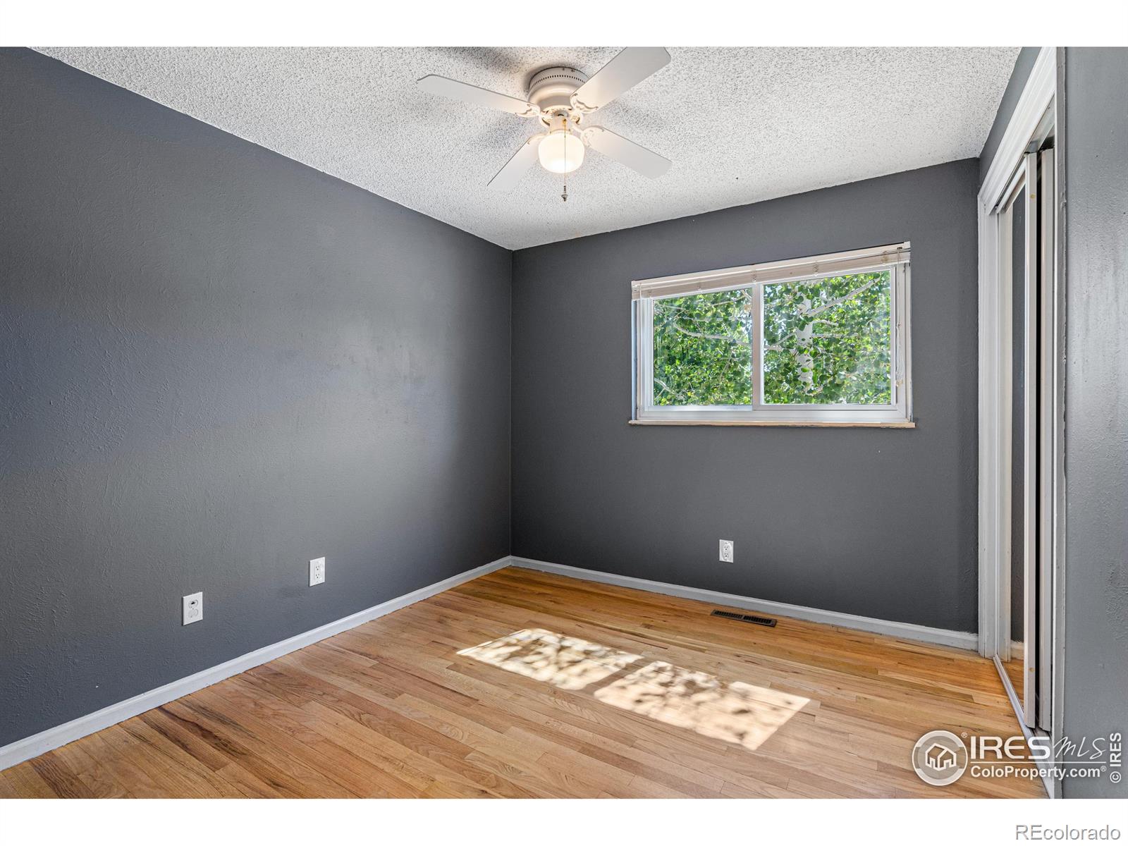 MLS Image #14 for 1533  chapman lane,longmont, Colorado