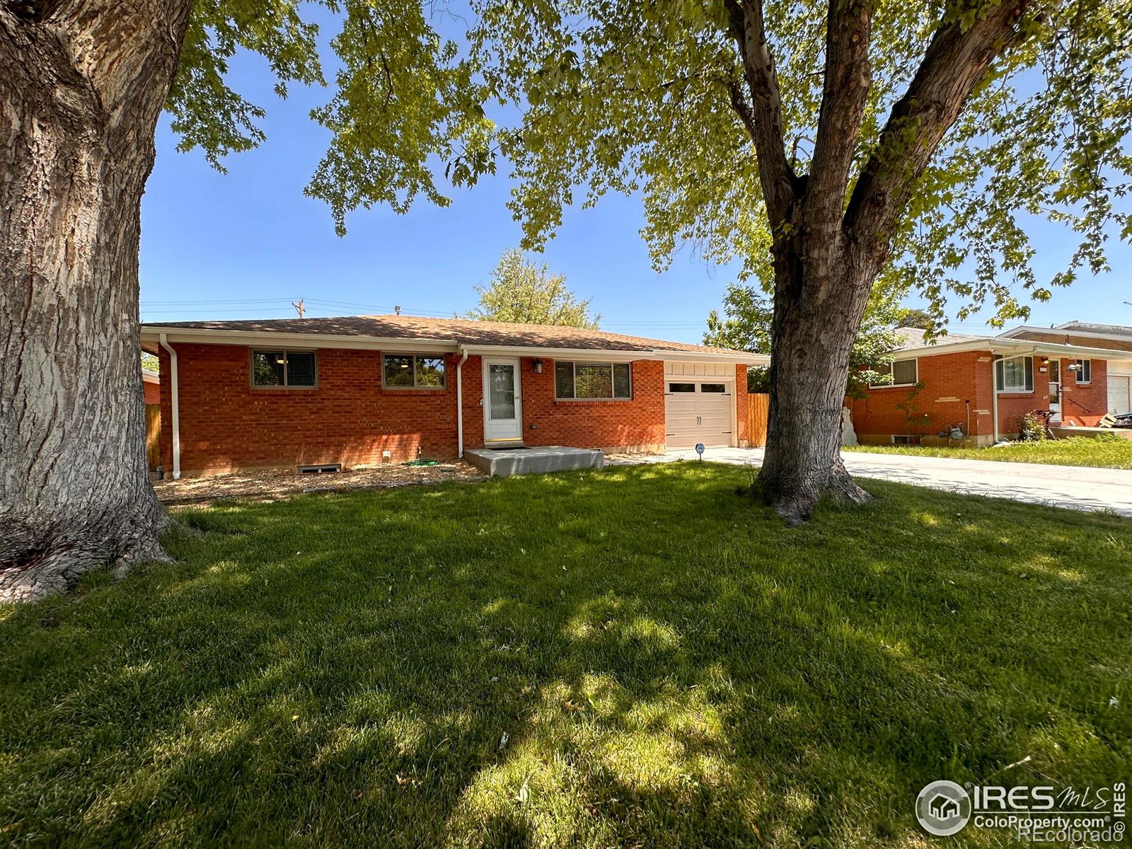 MLS Image #0 for 1203  gard place,loveland, Colorado