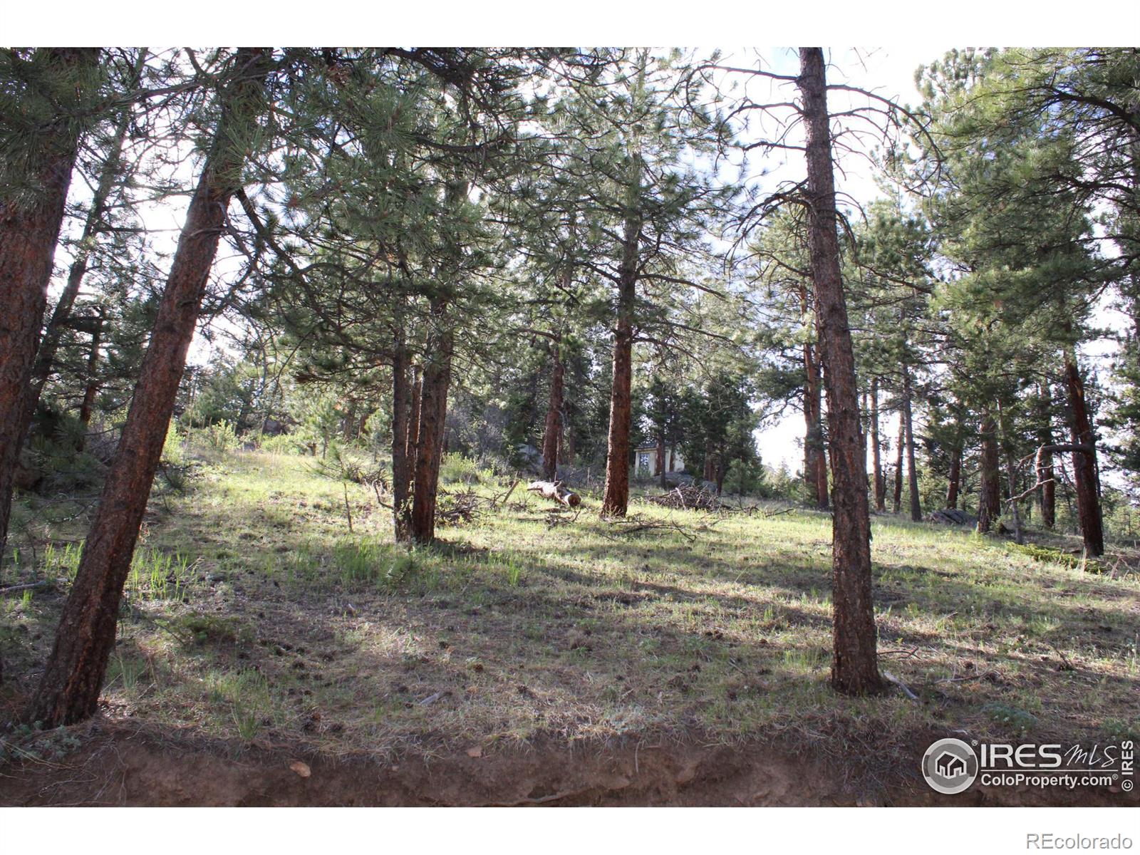 MLS Image #30 for 10613  twin spruce road,golden, Colorado
