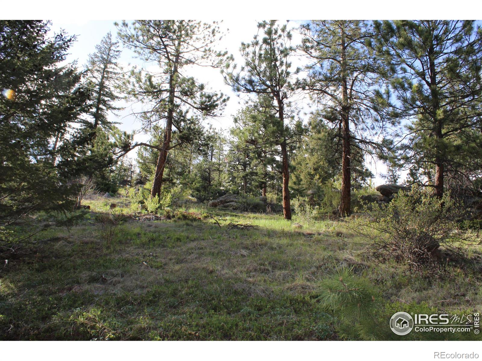 MLS Image #31 for 10613  twin spruce road,golden, Colorado