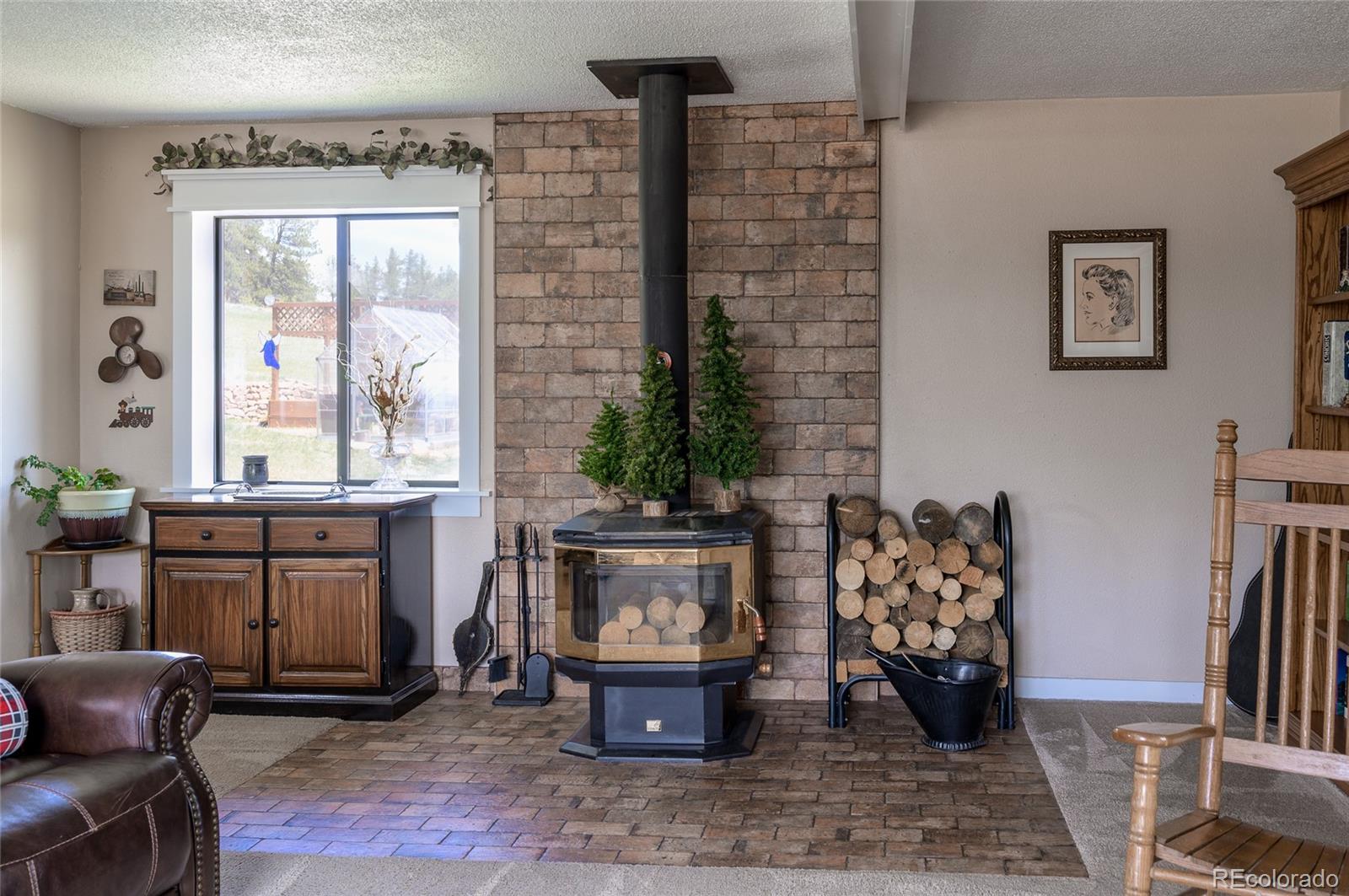 MLS Image #15 for 119  anvil circle,florissant, Colorado