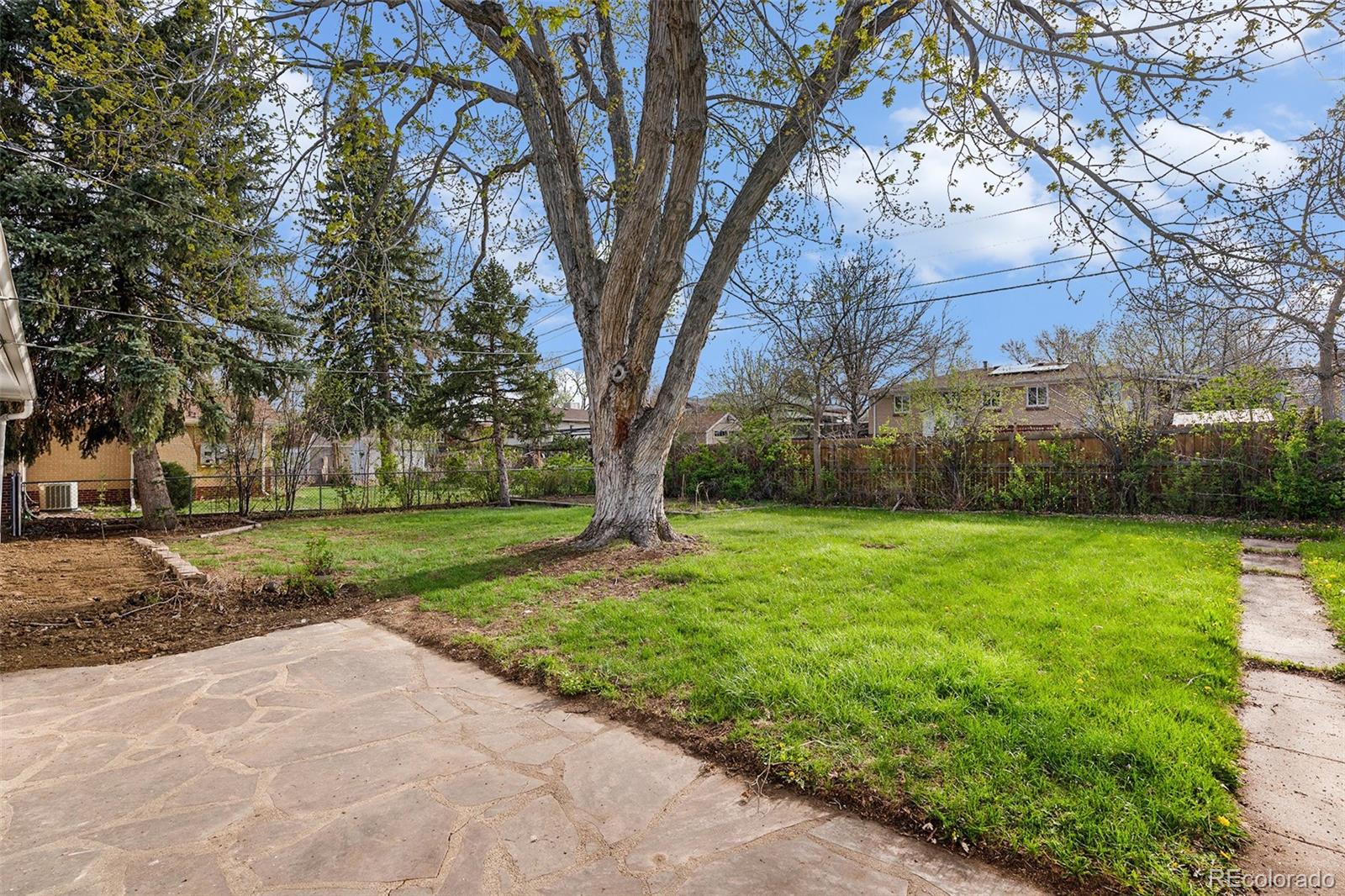 MLS Image #21 for 5407  iris street,arvada, Colorado