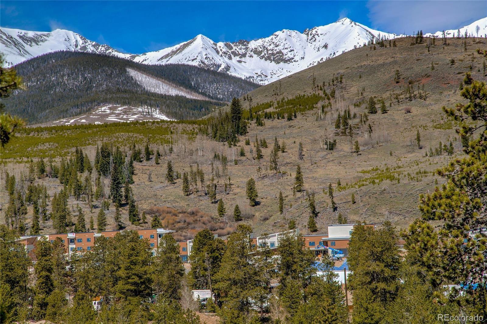 MLS Image #13 for 781  fairview boulevard,breckenridge, Colorado