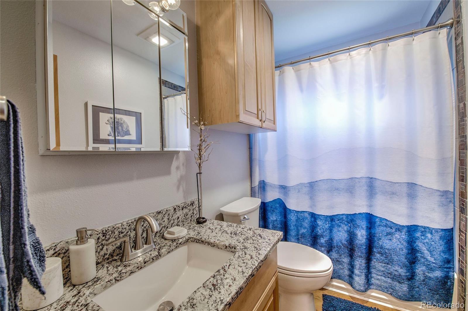 MLS Image #25 for 781  fairview boulevard,breckenridge, Colorado