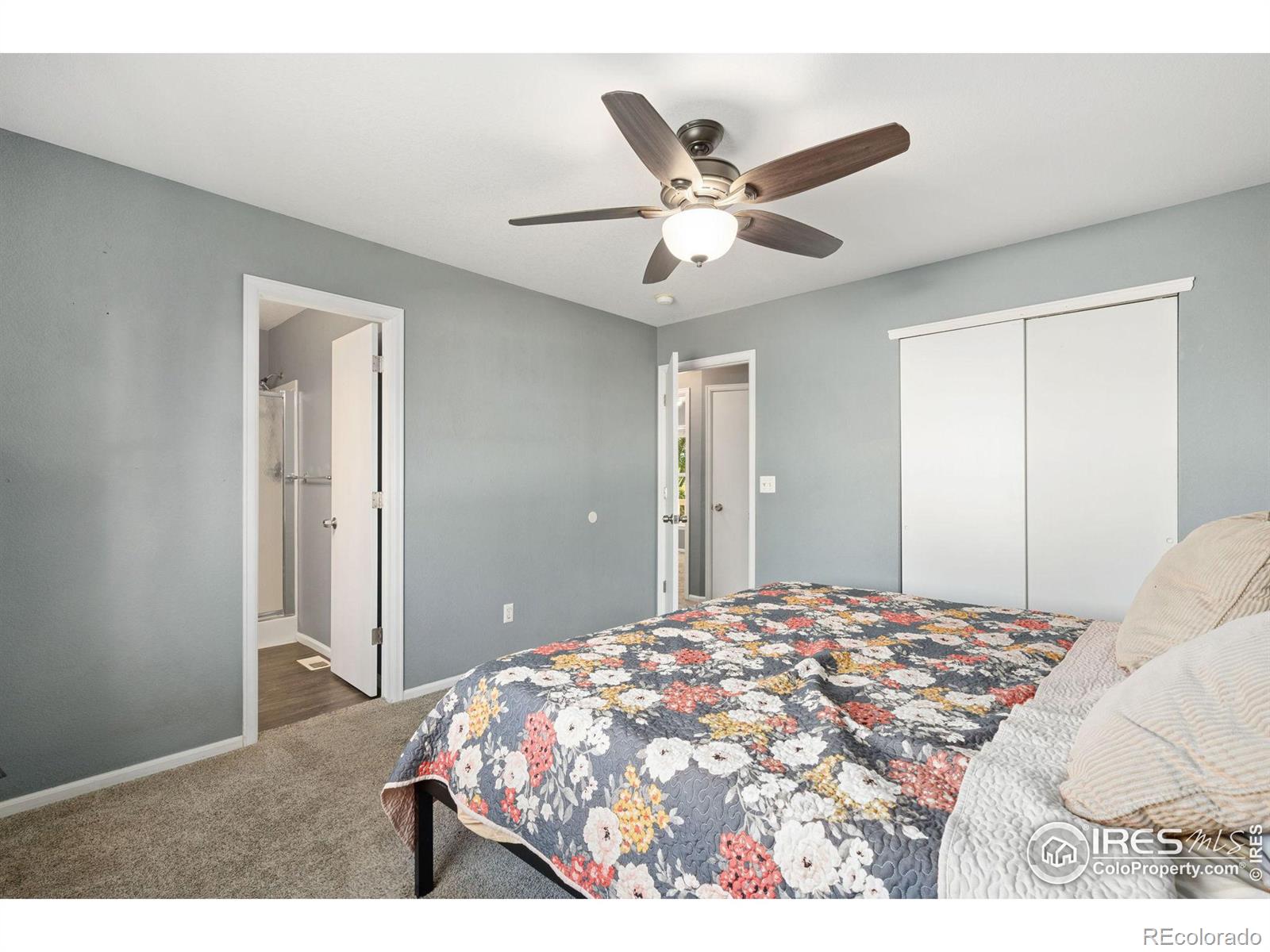 MLS Image #19 for 1392 s tyler avenue,loveland, Colorado