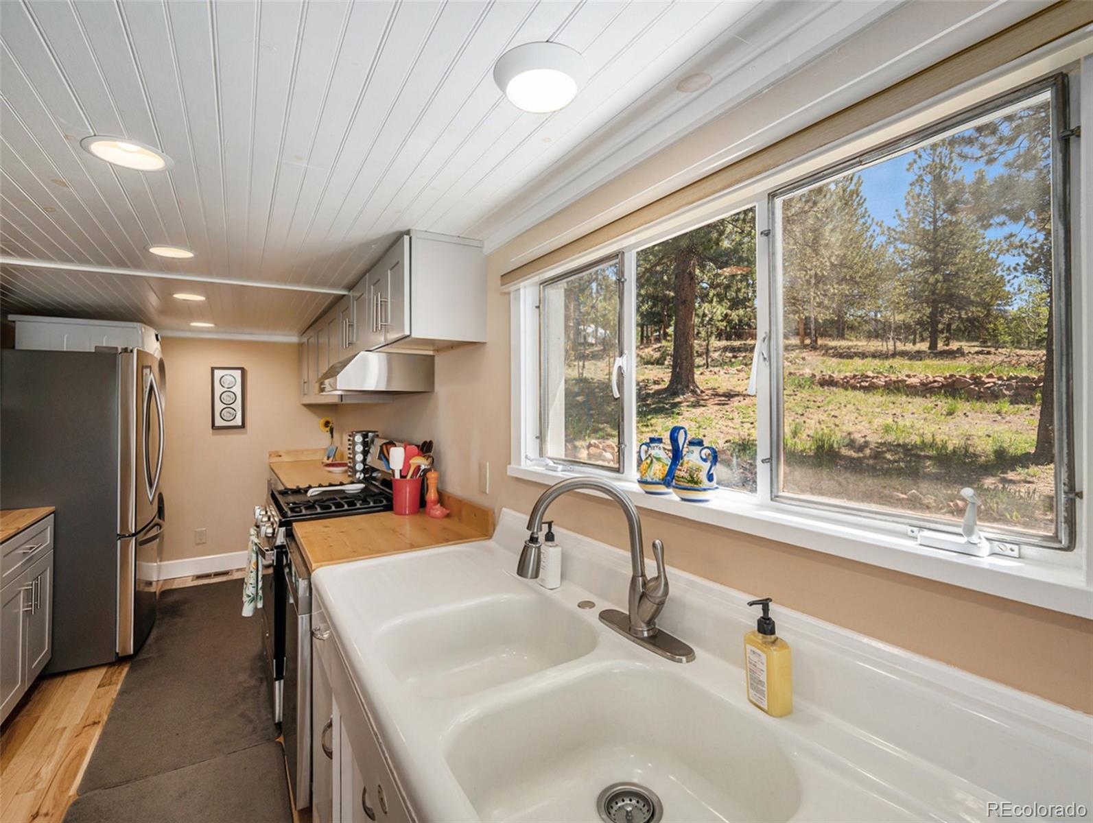 MLS Image #10 for 11753 s juniper road,pine, Colorado