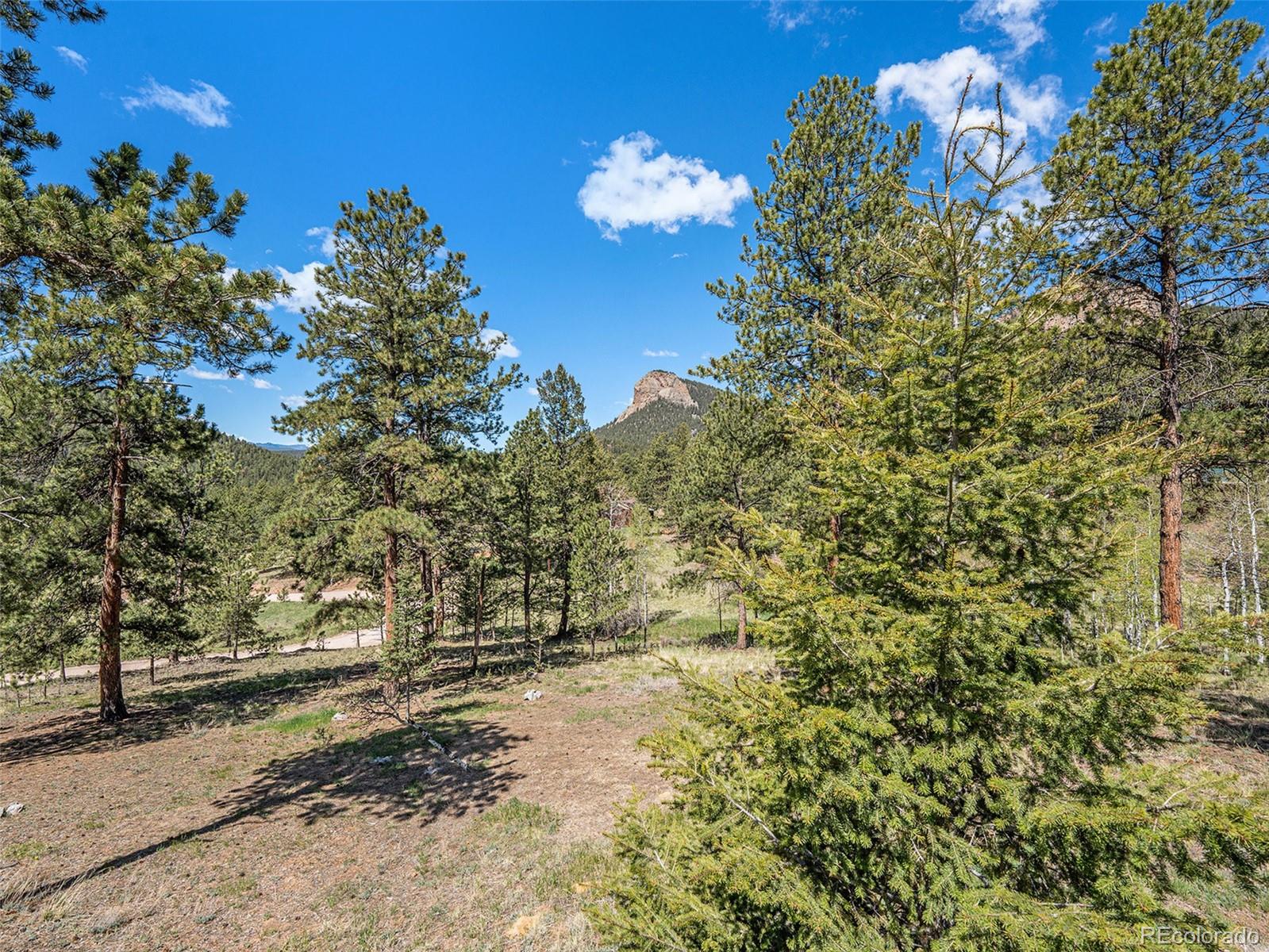 MLS Image #22 for 11753 s juniper road,pine, Colorado