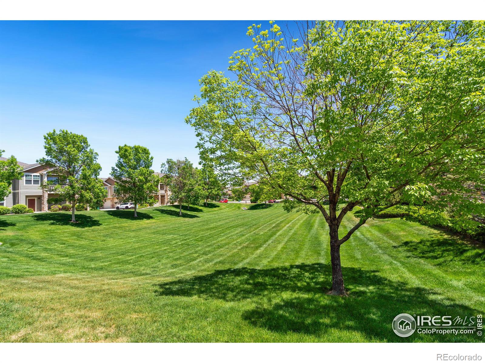 MLS Image #36 for 6914 w 3rd street,greeley, Colorado